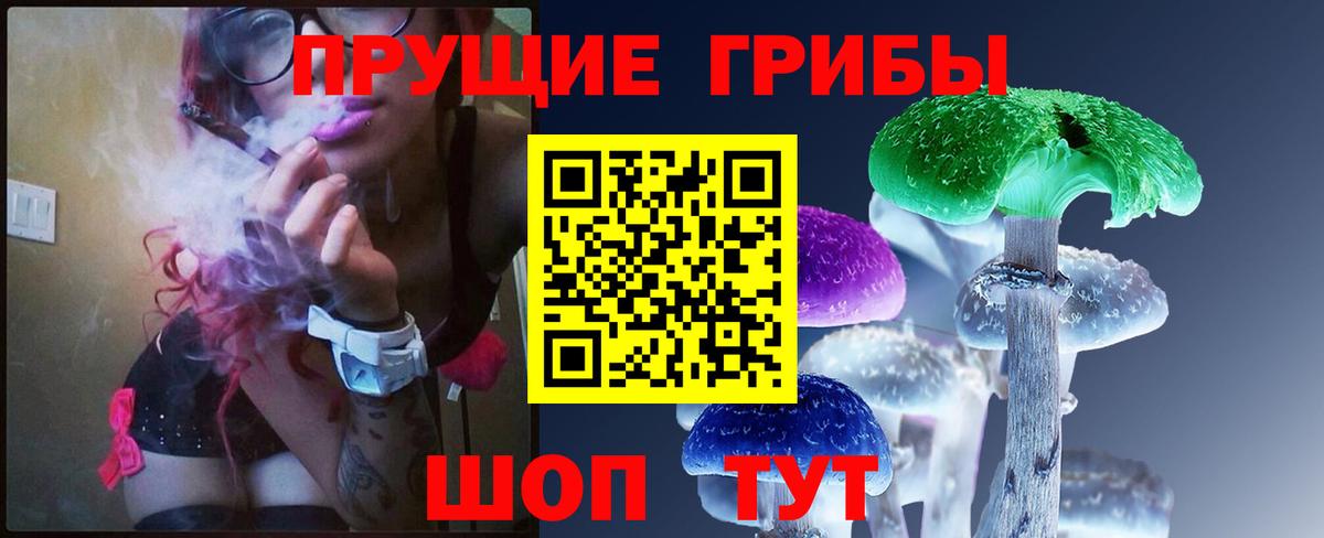 Галлюциногенные грибы Psilocybe Нефтекамск